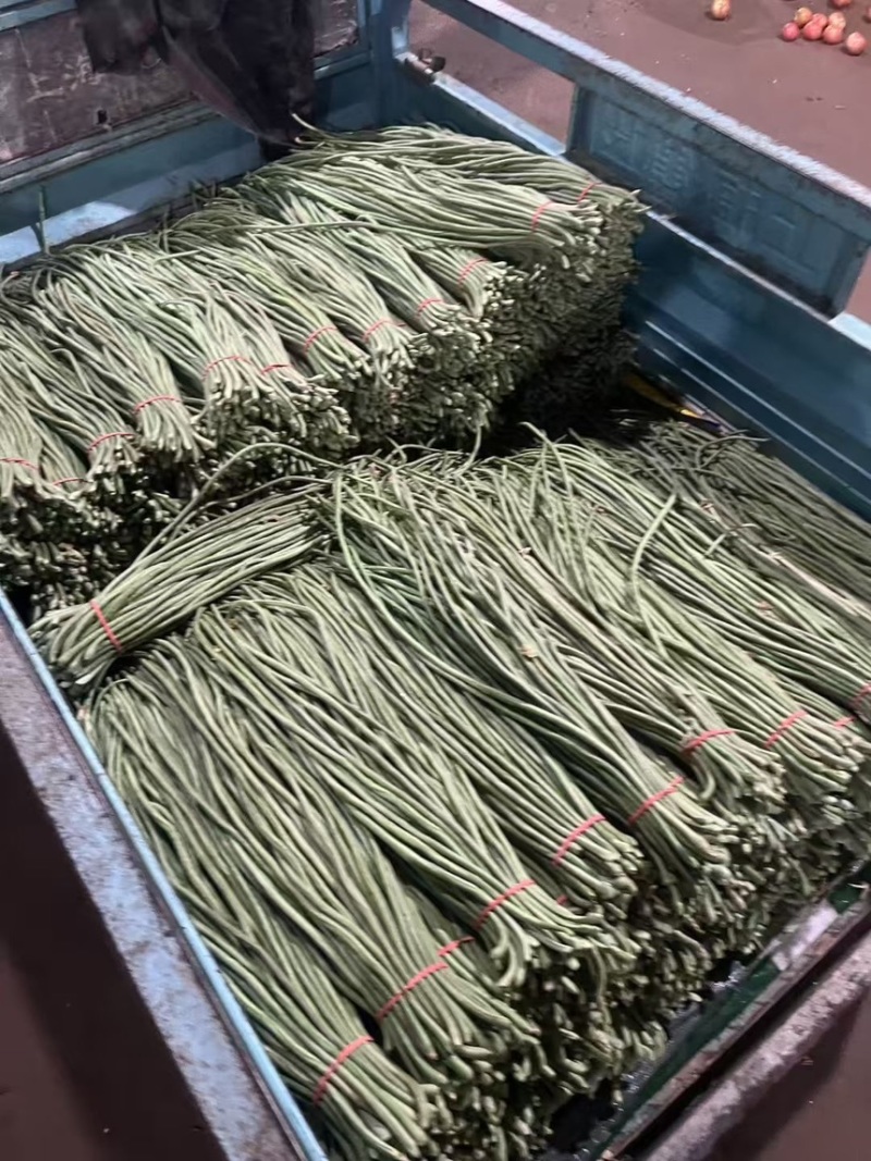 精品豆角，豆角绿色食品，无农药无公害
