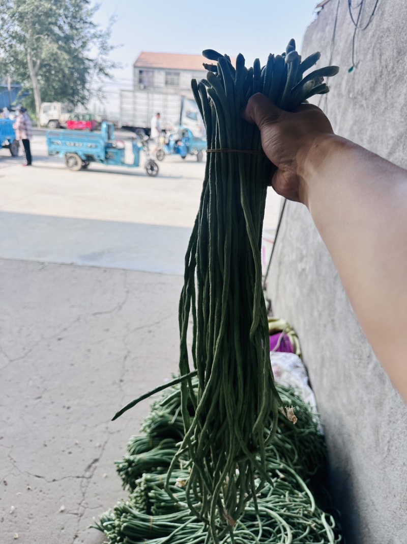 精品豆角，豆角绿色食品，无农药无公害