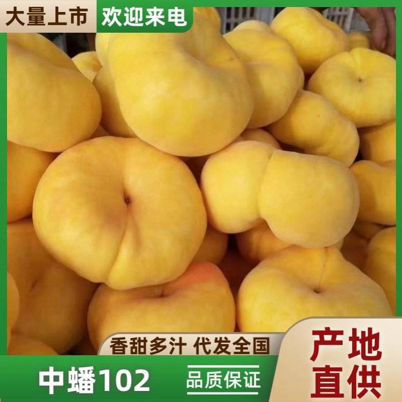 毛蟠21和毛蟠11，毛蟠15.口感香甜口感好吃，产地直供