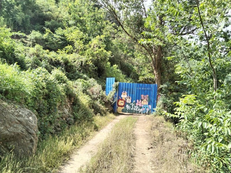 云南昆明果园低价出租或转让详细来电详谈可以种植各种水果树