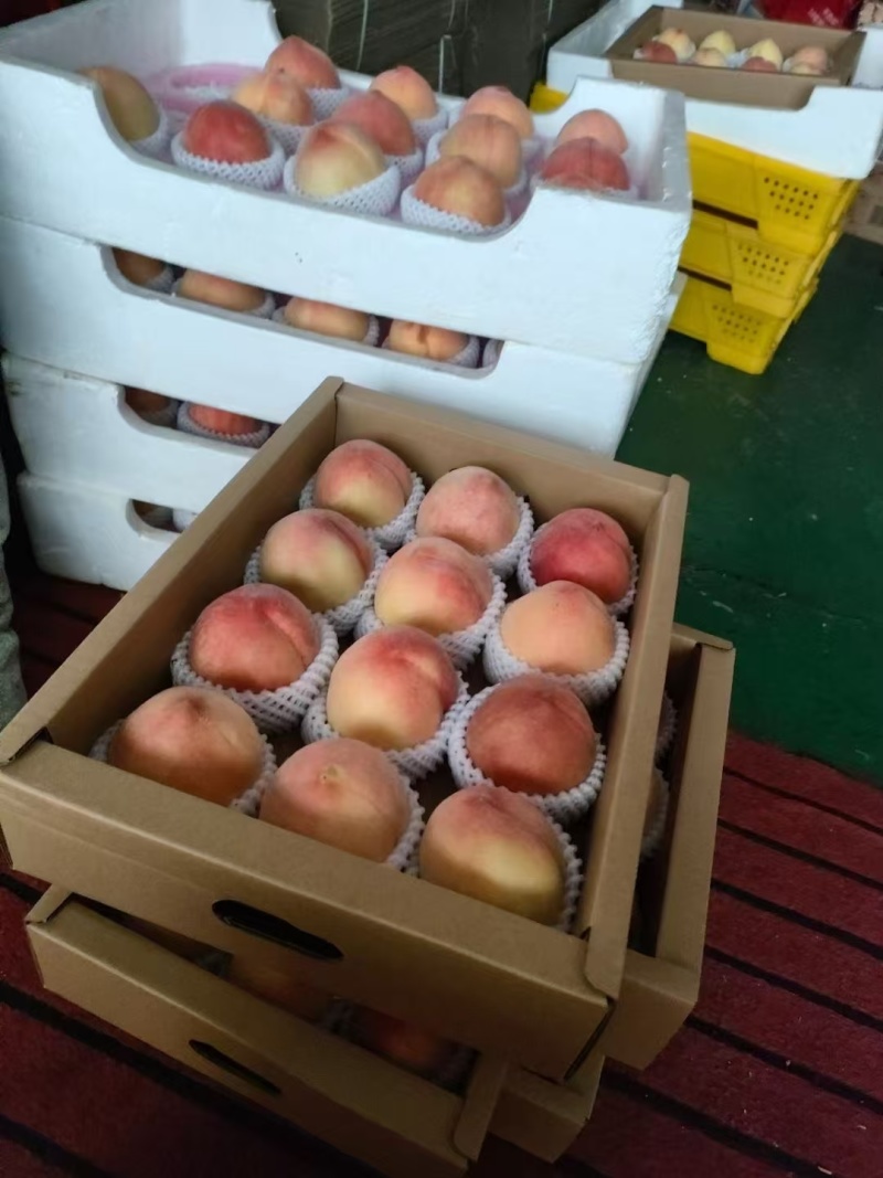 凤桥三星水蜜桃