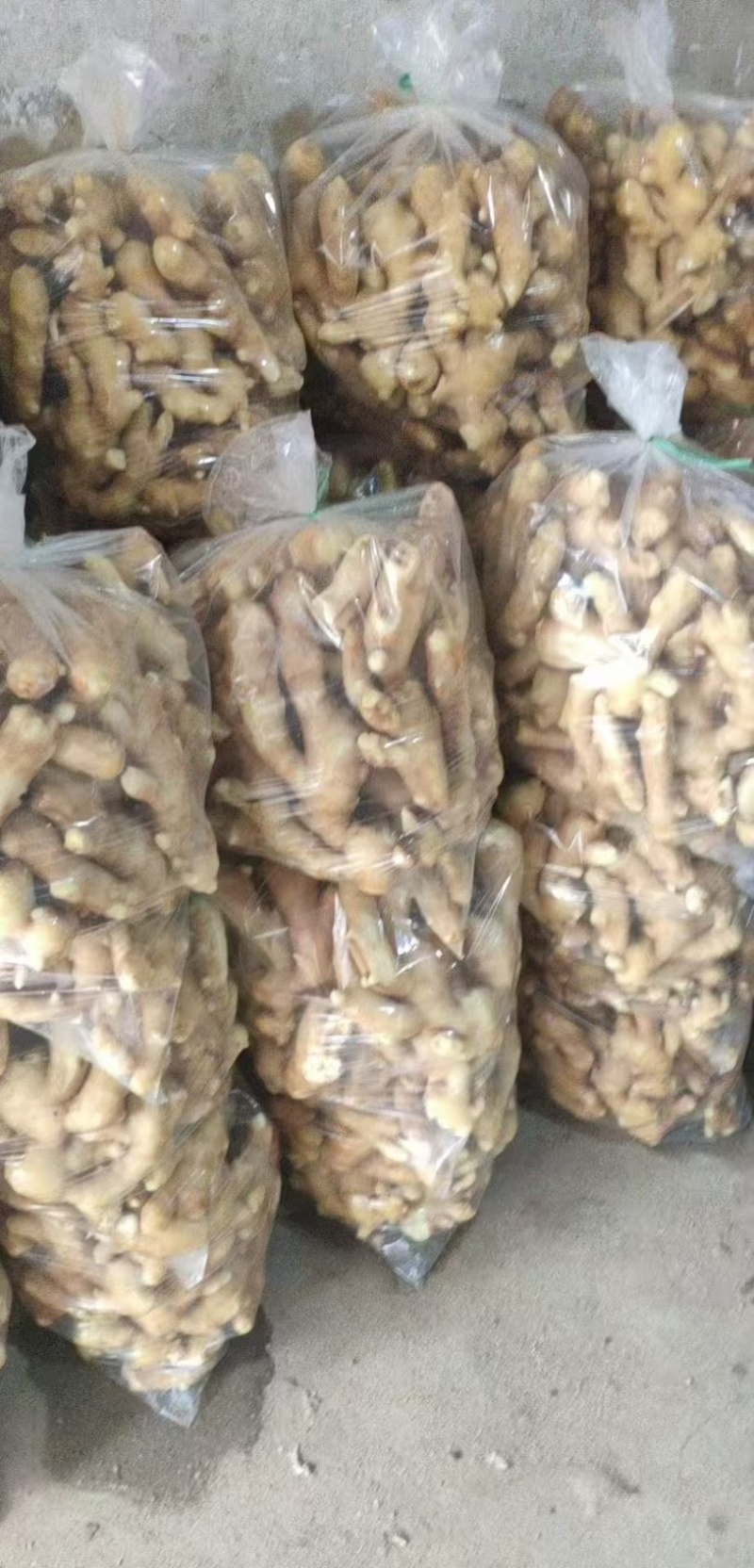 精品小黄姜，山东生姜产地直发，一手货源可对接商场电商市场