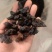 黄精茶九蒸九晒纯野生黄精泡茶煲汤泡酒