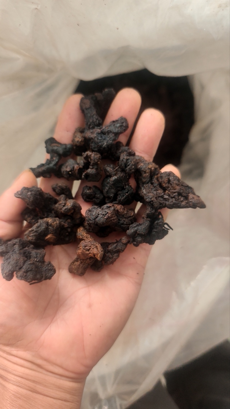 黄精茶九蒸九晒纯野生黄精泡茶煲汤泡酒
