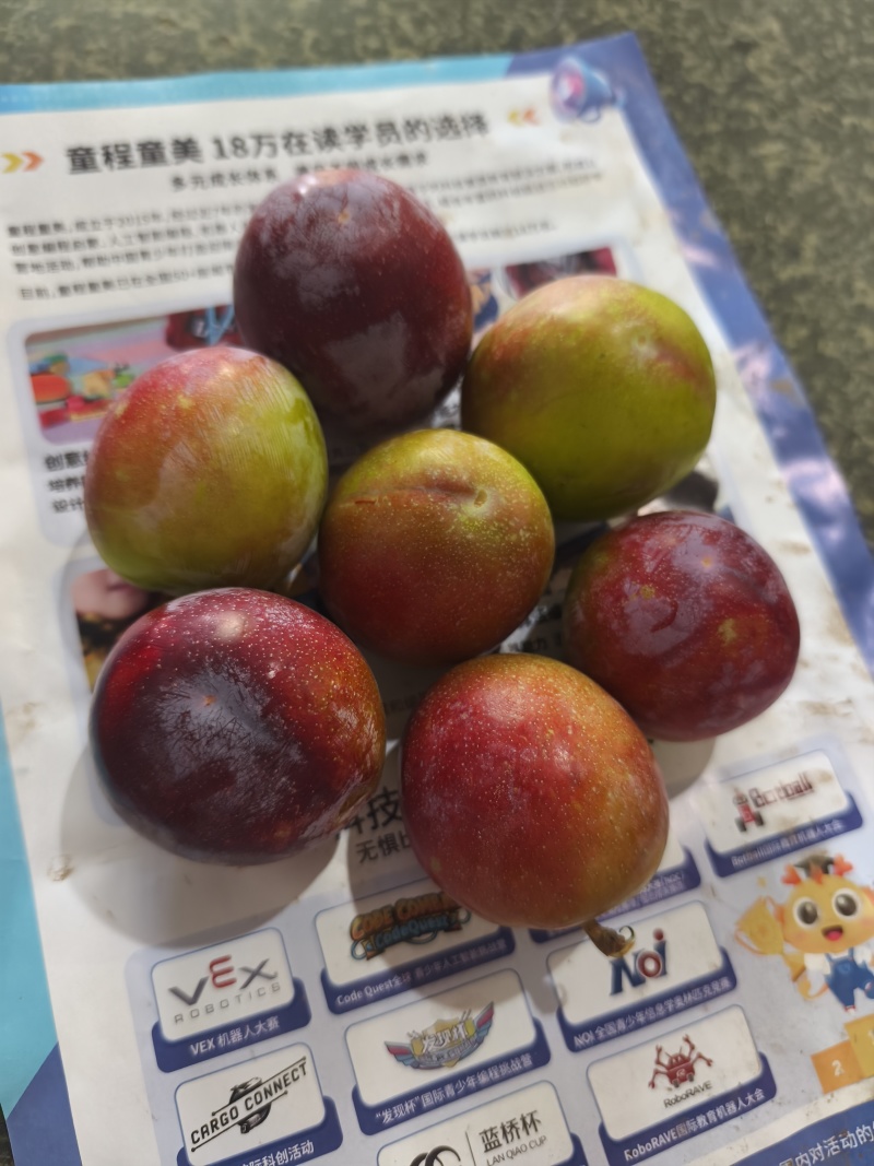 面李子上市了大量有货有意老板滴滴