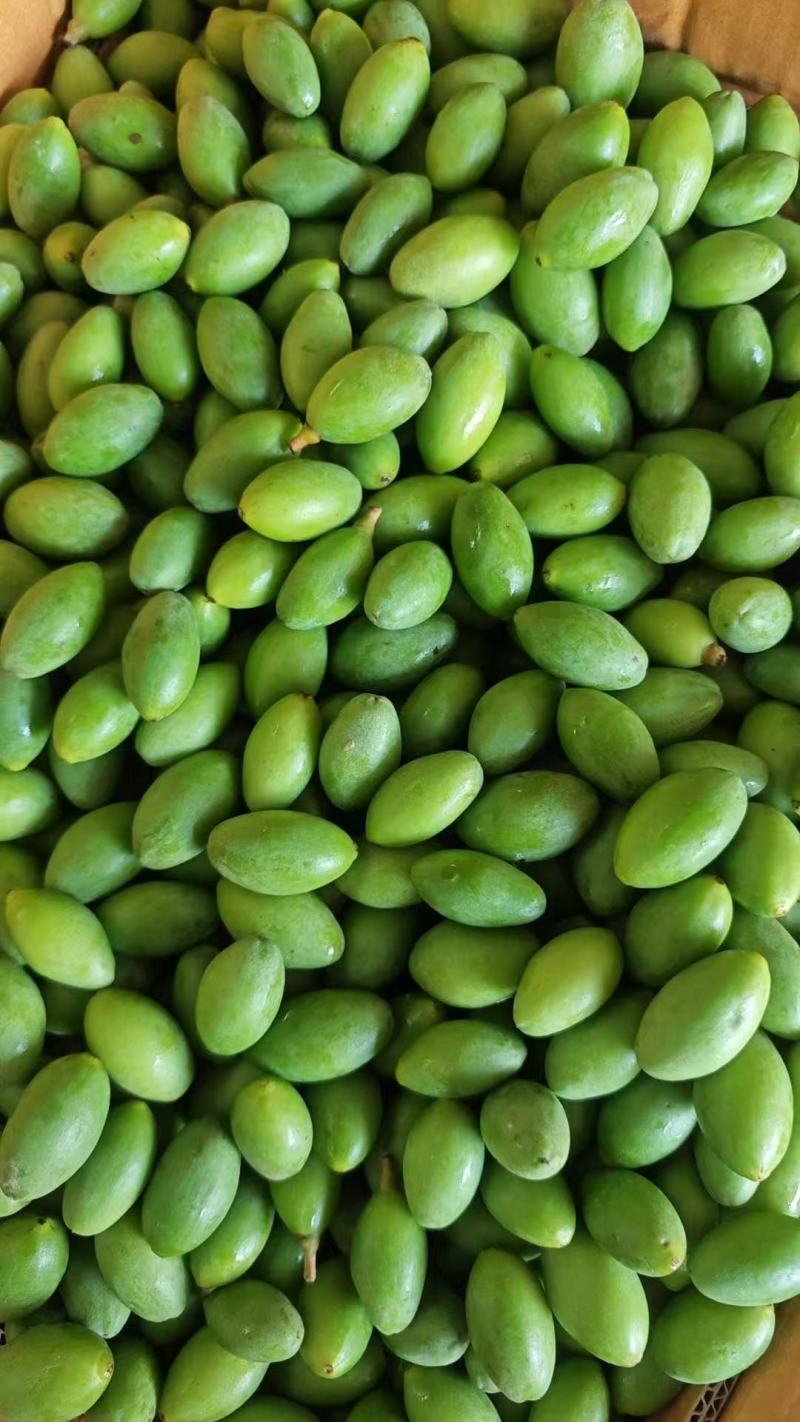 广东汕头青橄榄，精品货源，品质保证，对接全国