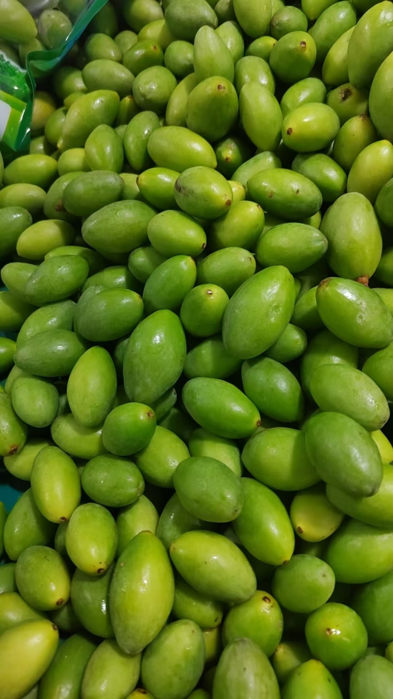 广东汕头青橄榄，精品货源，品质保证，对接全国
