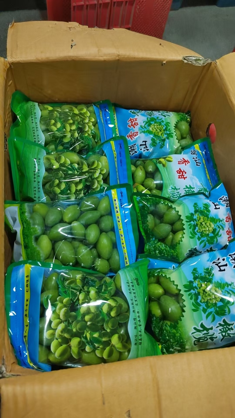 广东汕头青橄榄，精品货源，品质保证，对接全国
