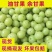 广东精品油甘果，一手货源，品质保证，可视频看货