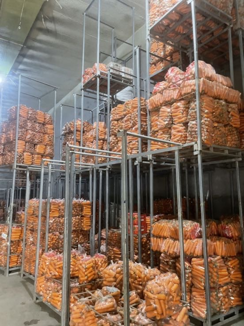 《胡萝卜》河北三红胡萝卜水洗，带土一手货源支持电商市场