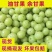 广东汕头精品油甘果，一手货源，对接全国，可视频看货