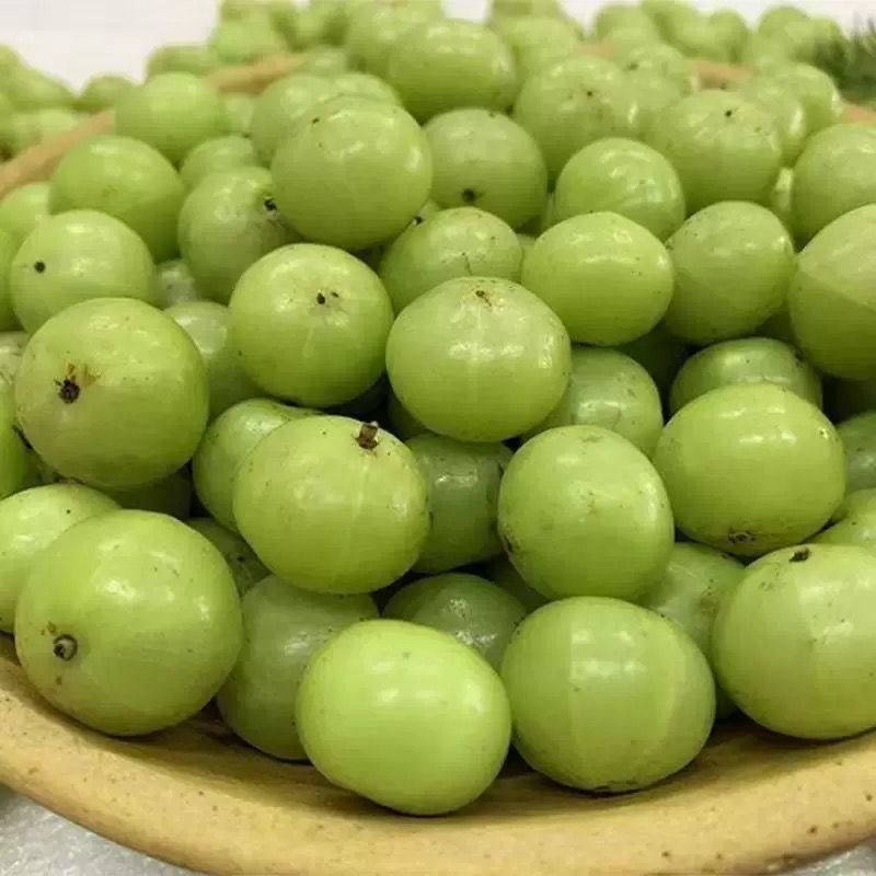 广东汕头精品油甘果，一手货源，对接全国，可视频看货