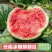 无籽美都麒麟瓜\云南文山无籽美都麒麟瓜\大量上市