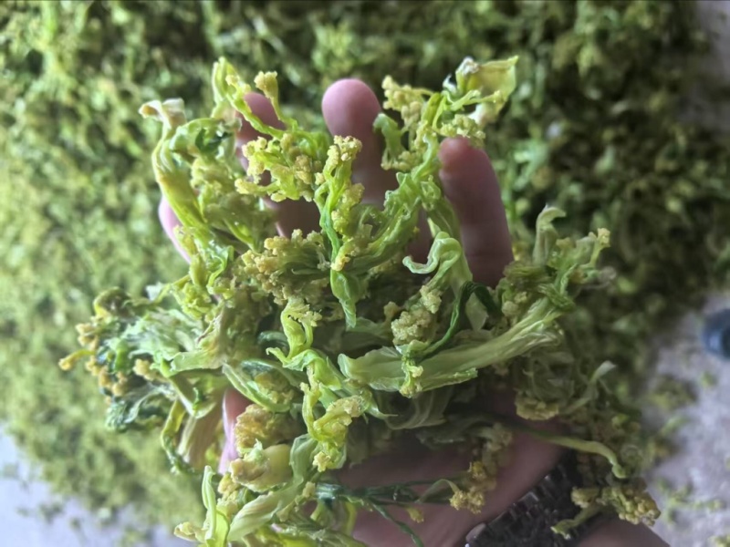 脱水花菜，厂家直发，大量有货，欢迎各位老板咨询采购