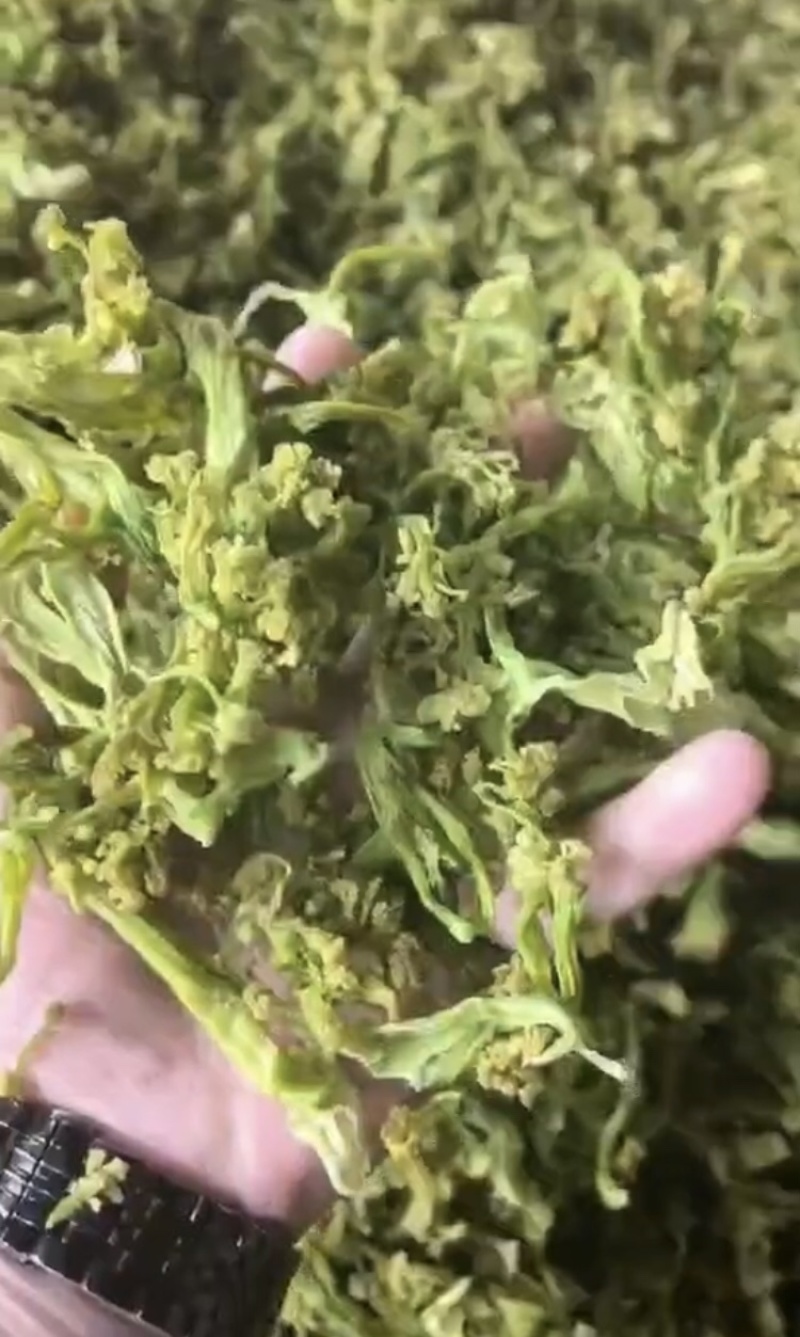 脱水花菜，厂家直发，大量有货，欢迎各位老板咨询采购
