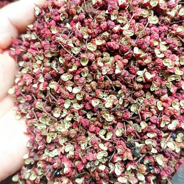 陇南大红袍