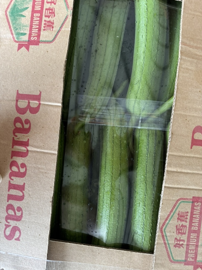 精品油皮丝瓜
