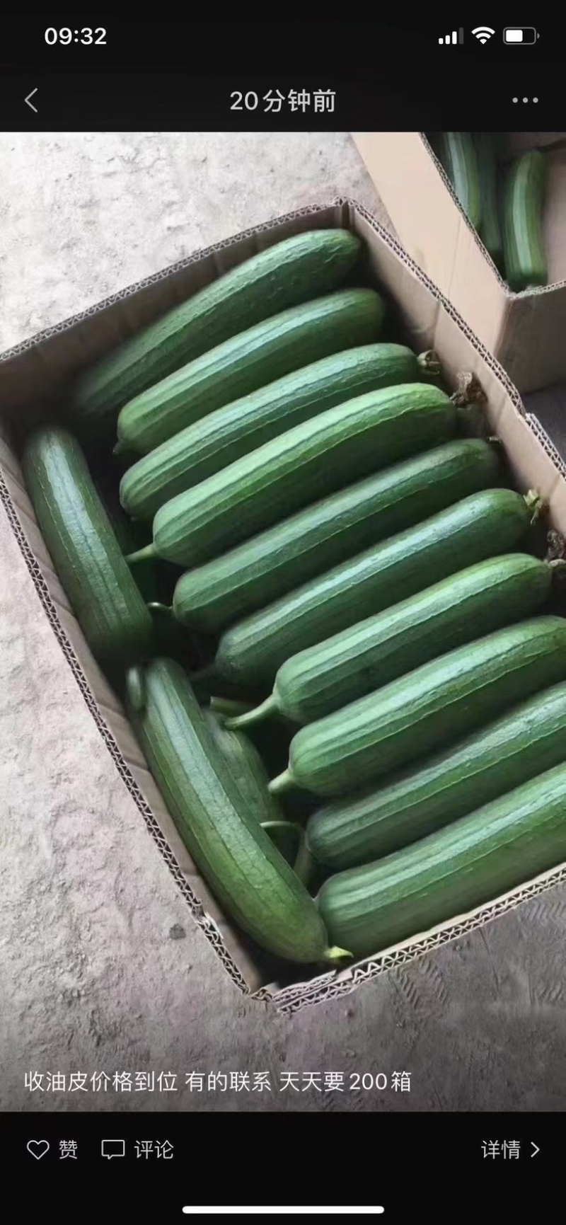 精品油皮丝瓜