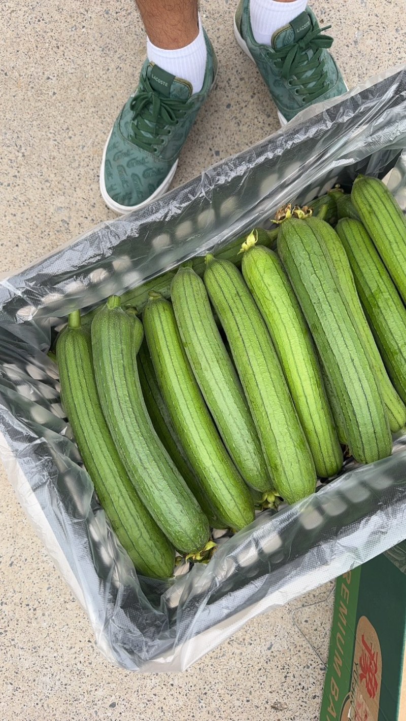精品油皮丝瓜