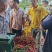 广西荔枝，六月红，禾荔，情人荔，桂味。
