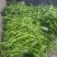 精品彩椒，螺丝椒，半月后大量上市