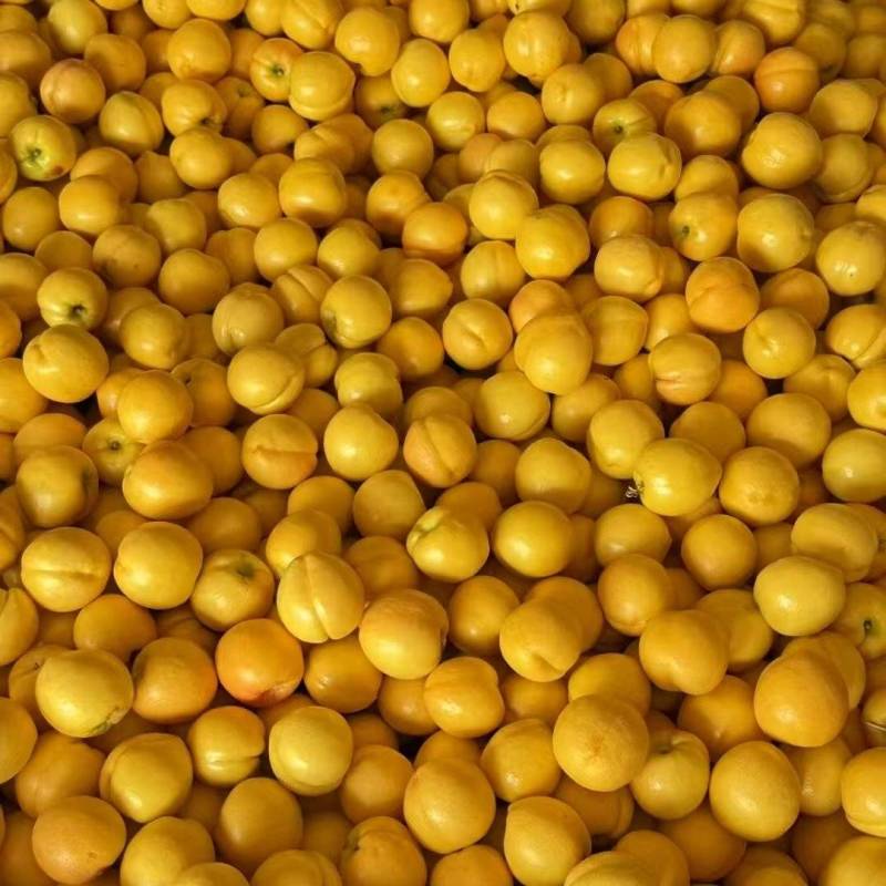 蒙阴蜜桃黄油桃水蜜桃油蟠桃