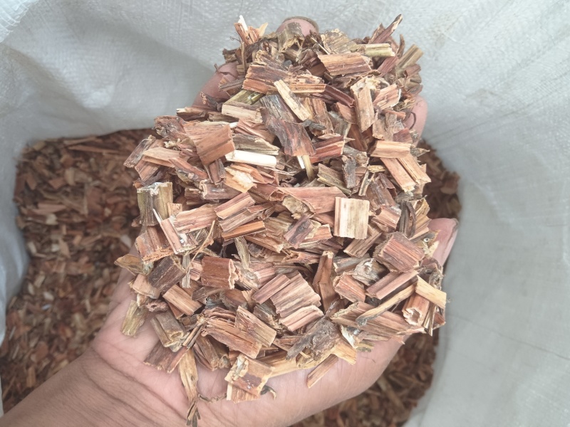 凤仙透骨草安徽亳州产区大量供应量大，从优推荐全国