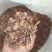 凤仙透骨草安徽亳州产区大量供应量大，从优推荐全国