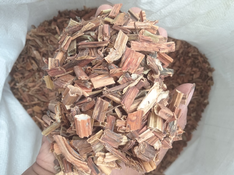 凤仙透骨草安徽亳州产区大量供应量大，从优推荐全国