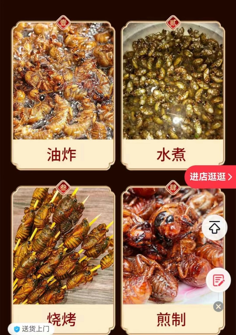 金蝉知了猴顺丰包邮快手～抖音～视频拼多一件代发