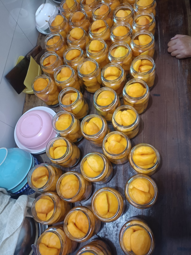 南非一号黄桃