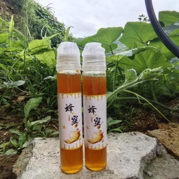 个人养殖土蜂蜜，自产自销一手货源，