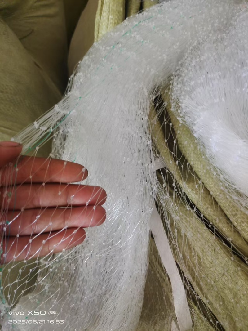 果园防鸟网葡萄园草莓园鱼塘大棚加粗尼龙网果树稻谷