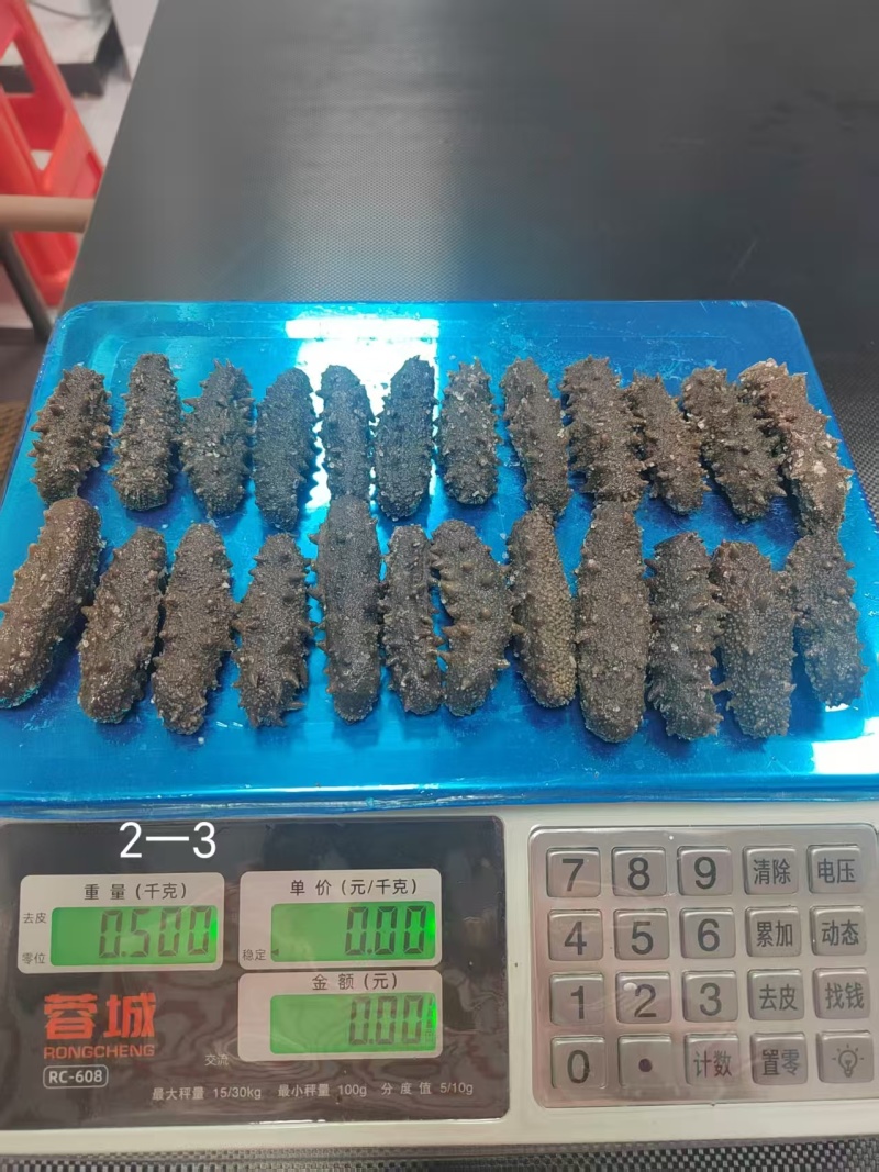 【实力】霞浦即食海参/自产自销/价格美丽/福建优质海参