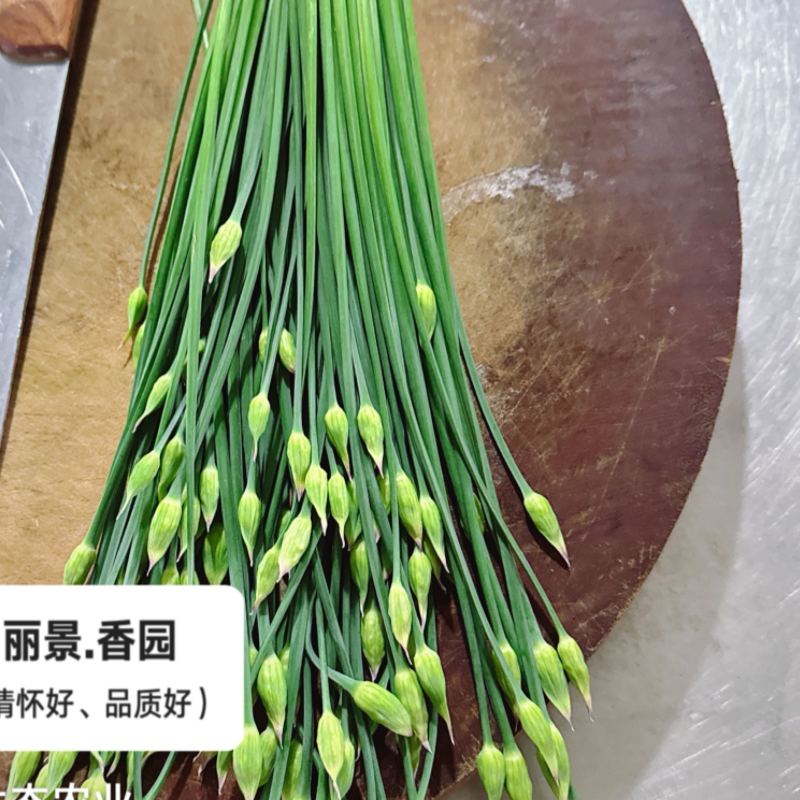 鲜菜现发韭菜苔