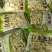 白水肥肠段5公斤箱装