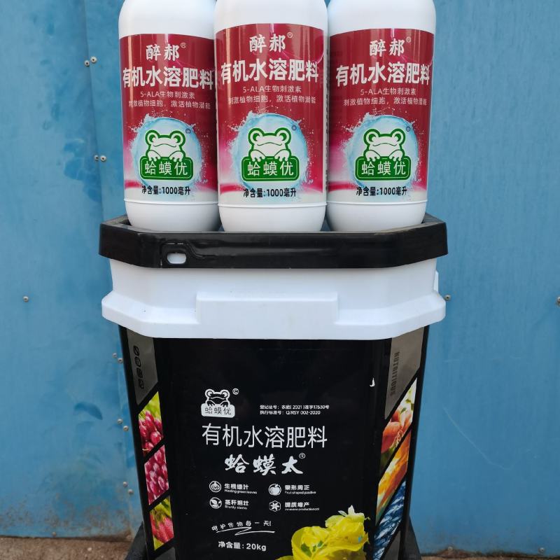 蛤蟆太®+瓶蛤蟆优®