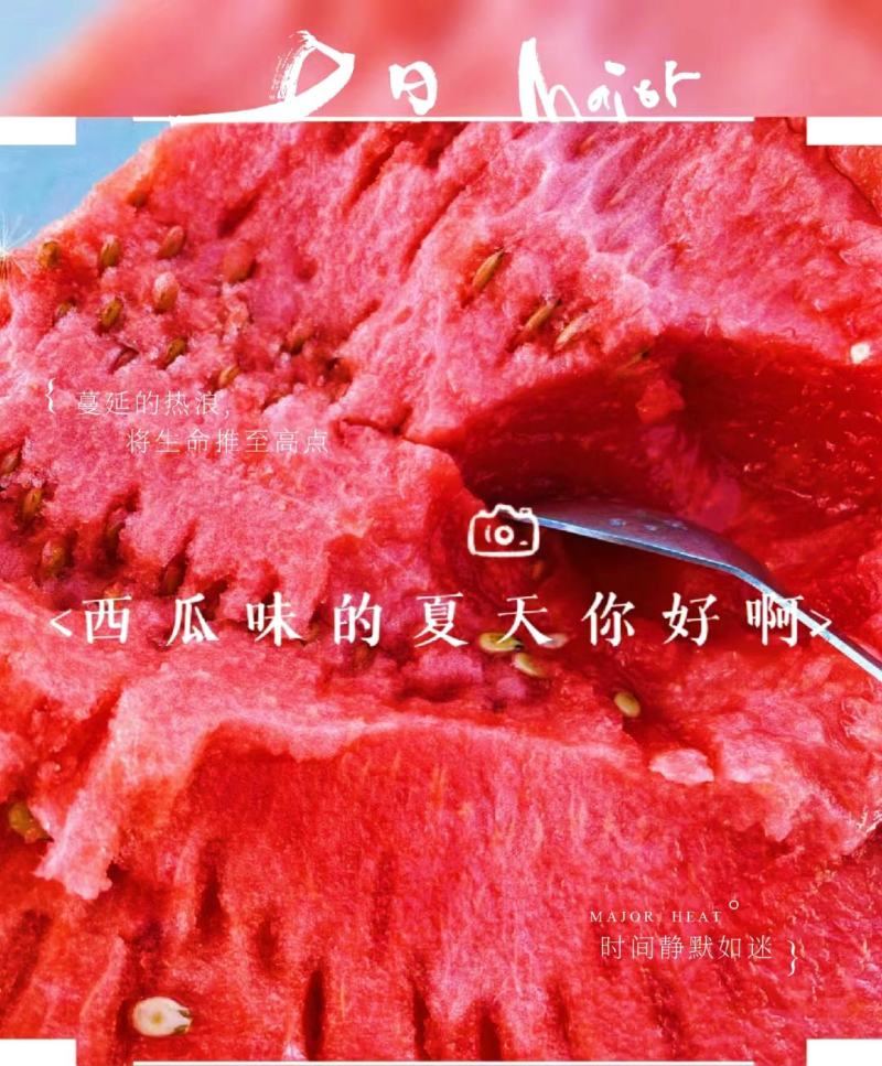 正宗宁夏万亩硒砂瓜月底上市，产地直供需要货源的支预订。