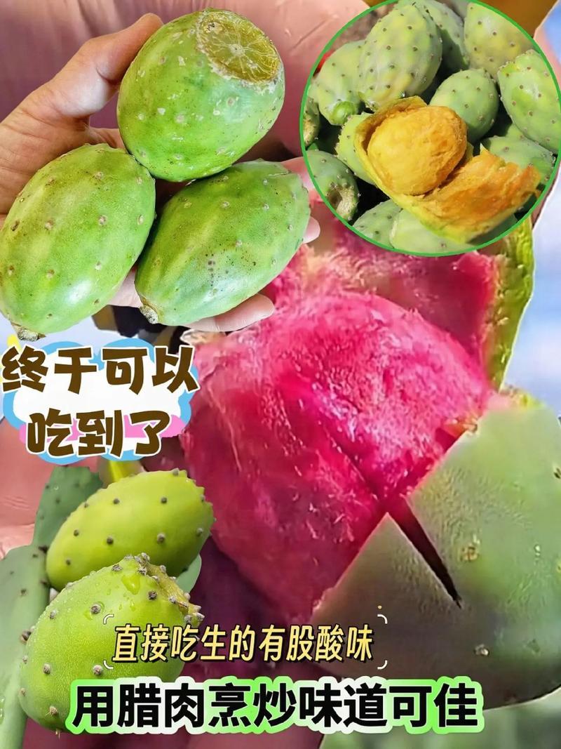 滇红