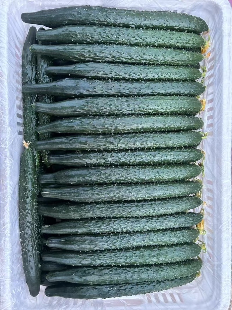 河南产地直发电商货批发商精品瓜通货一站式服务