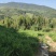 小黄姜原产地量大
