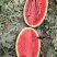 宁夏西瓜🍉，金花6号，薄皮红瓤，脆甜可口，糖分12+，