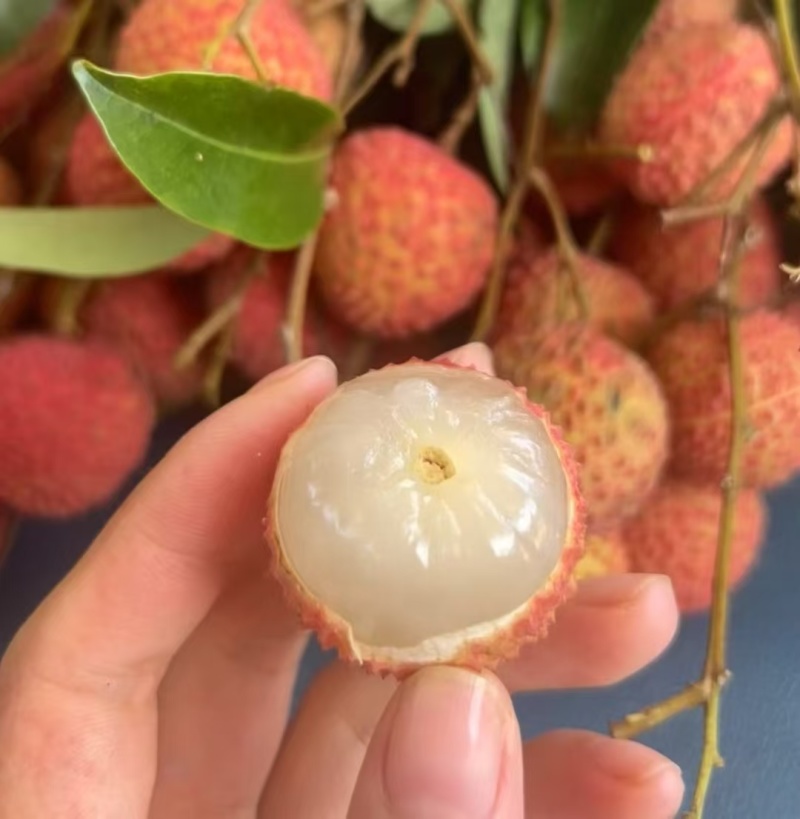 荔枝