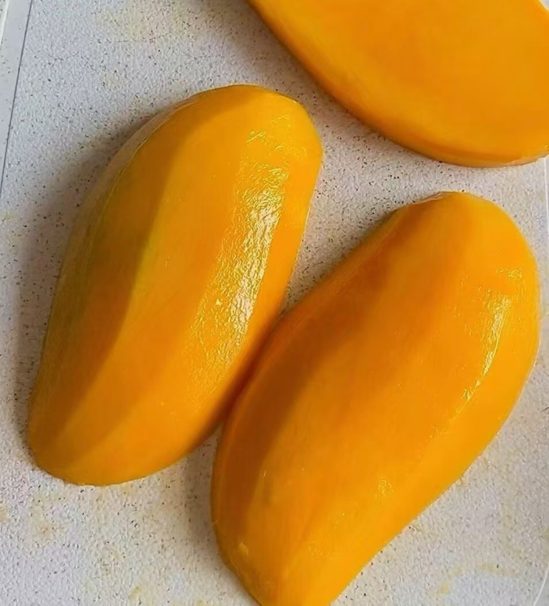 广西百色芒果