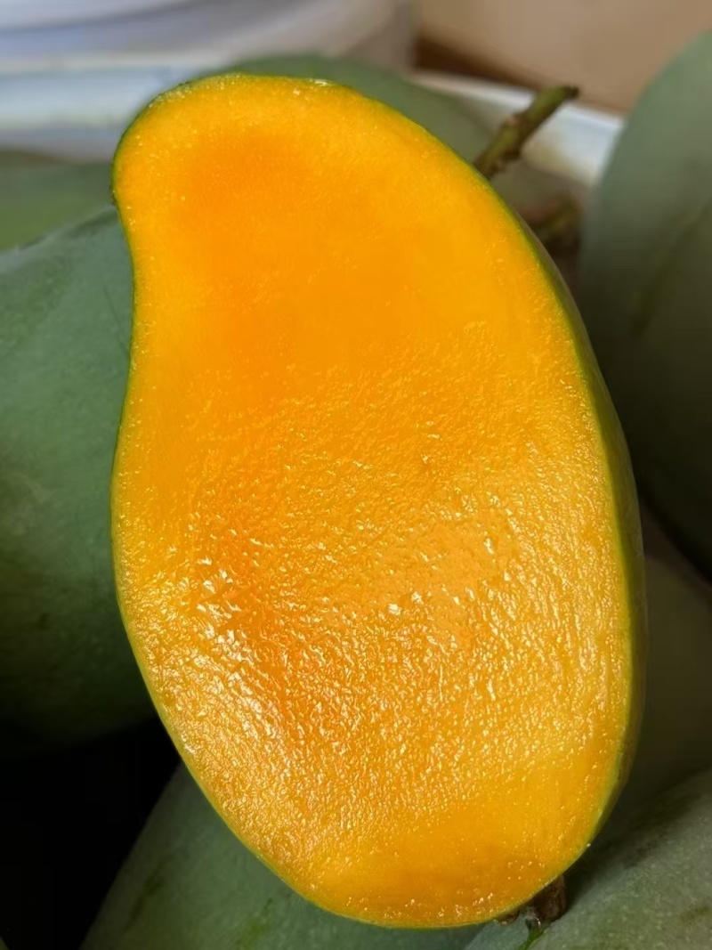 广西百色芒果