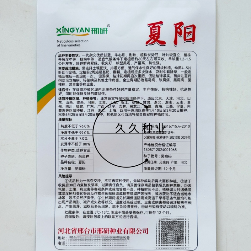 邢研夏阳抗热甘蓝种子翠绿美观高产耐热商品性佳