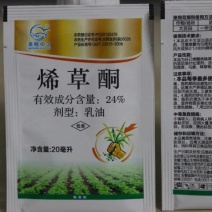 24%烯草酮牛筋草稗草马唐狗尾草等禾本科杂草除草剂