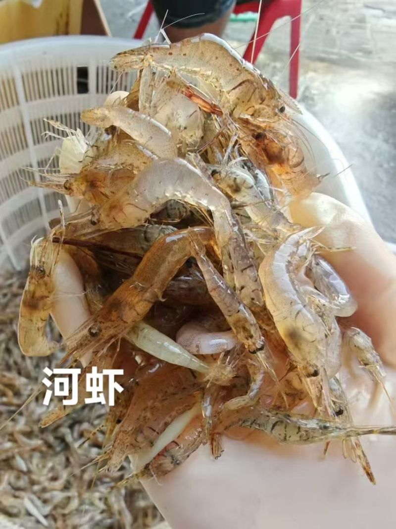 河虾，冰鲜/冻版发货。可以是盒装半斤/盒，袋装1斤/袋