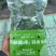 羽衣甘蓝鲜叶一手货源