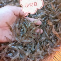 河虾，冰鲜/冻版发货。可以是盒装半斤/盒，袋装1斤/袋